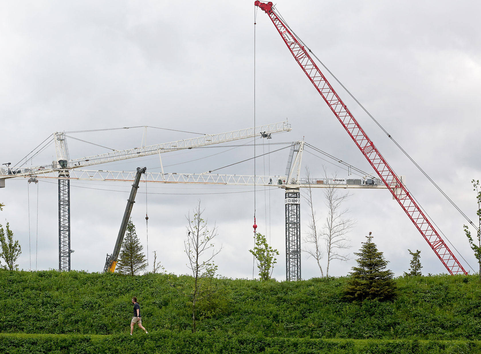 Verona development
